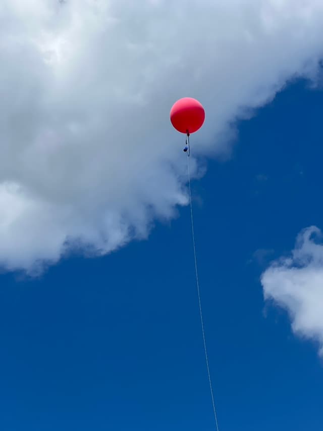 Launch & Presentation